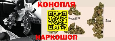 бошки Кимры