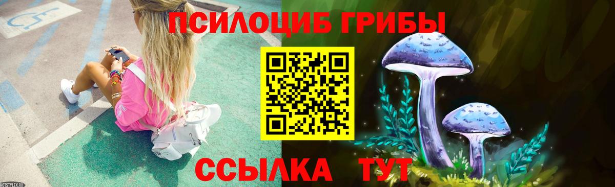 как найти закладки  Вход с VPN  Алапаевск  Галлюциногенные грибы Psilocybe  Галлюциногенные грибы Cubensis 